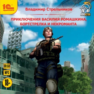 Приключения Василия Ромашкина, бортстрелка и некроманта — Владимир Стрельников