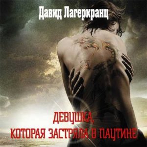 Девушка, которая застряла в паутине — Давид Лагеркранц, Стиг Ларссон