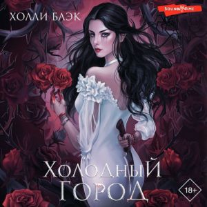 Холодный город - Холли Блэк